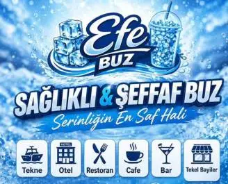 Efe BUZ